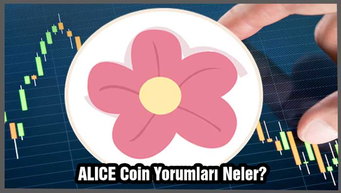 alice coin yorum