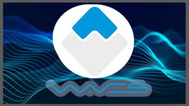 Waves Coin