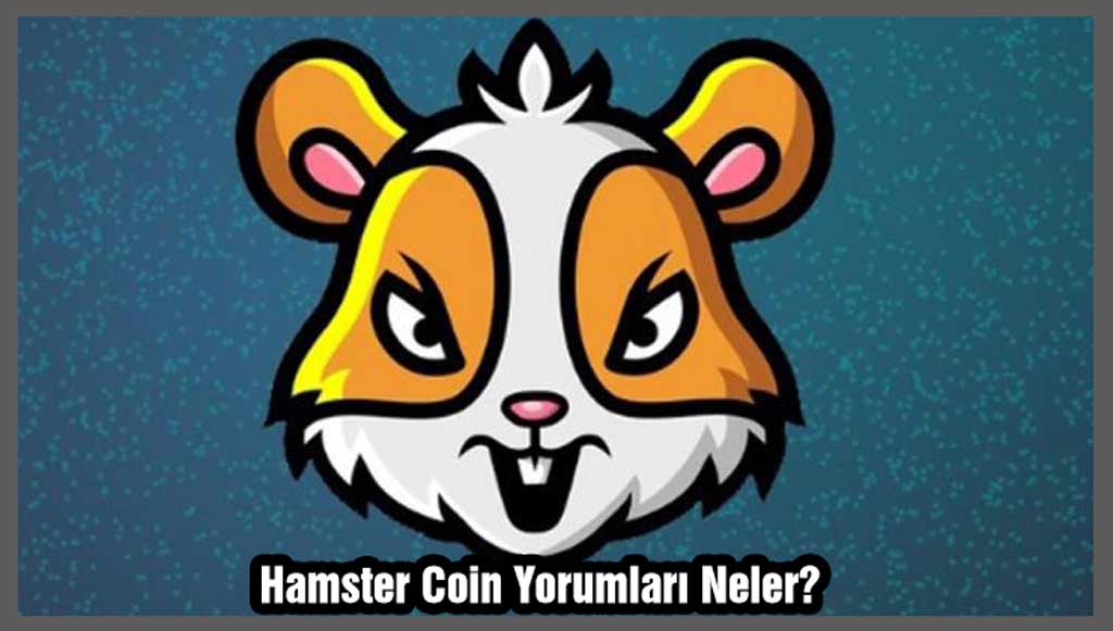 Hamster Coin Yorum